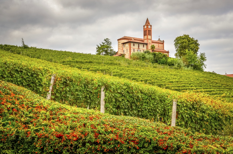 Landscape view of vineyards and old church in Piemont, Italy